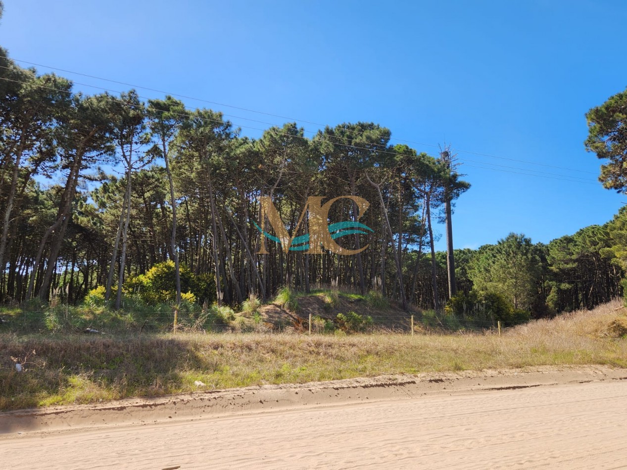 Departamento 3 ambientes en Pinamar